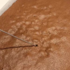 Authentic-German-Black-Forest-Swiss-Roll-cake-tester-930x1303